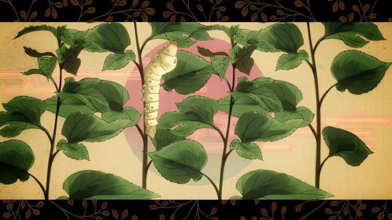 きびそ