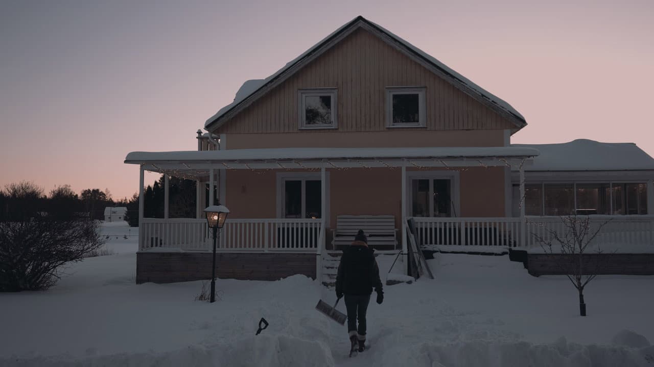 Tyst faller snön