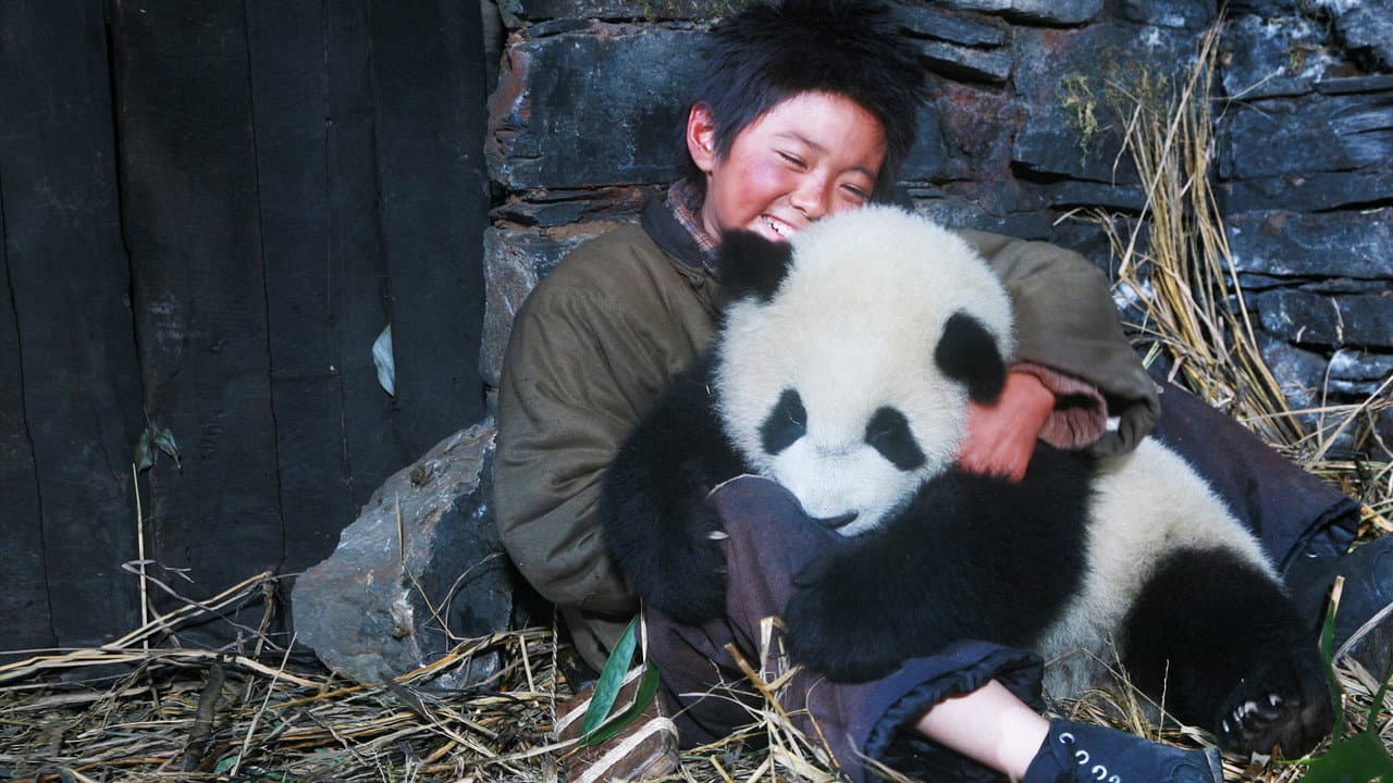 La senda del panda