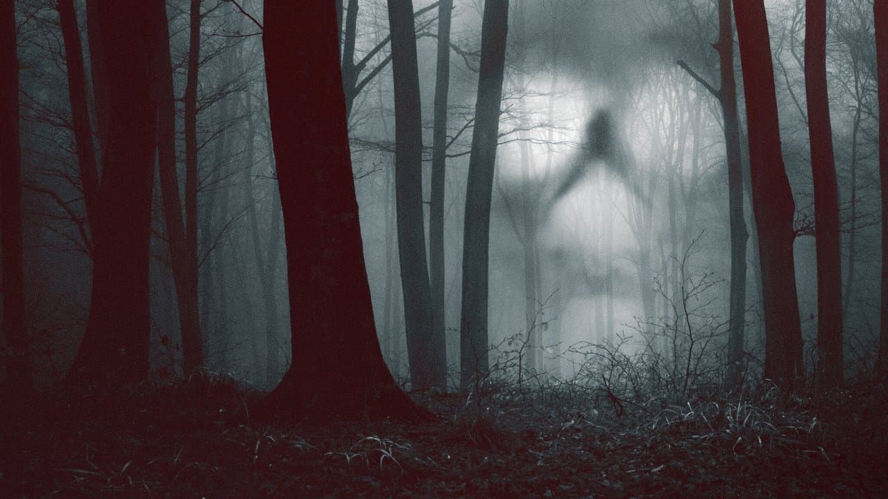 28 Días Paranormales