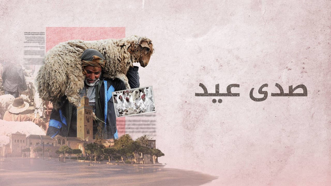 صدى عيد