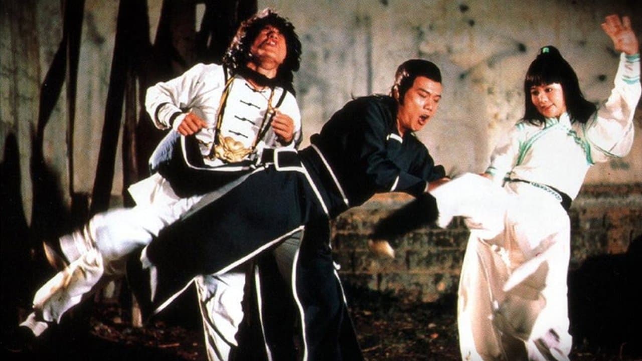 El aprendiz de Kung Fu