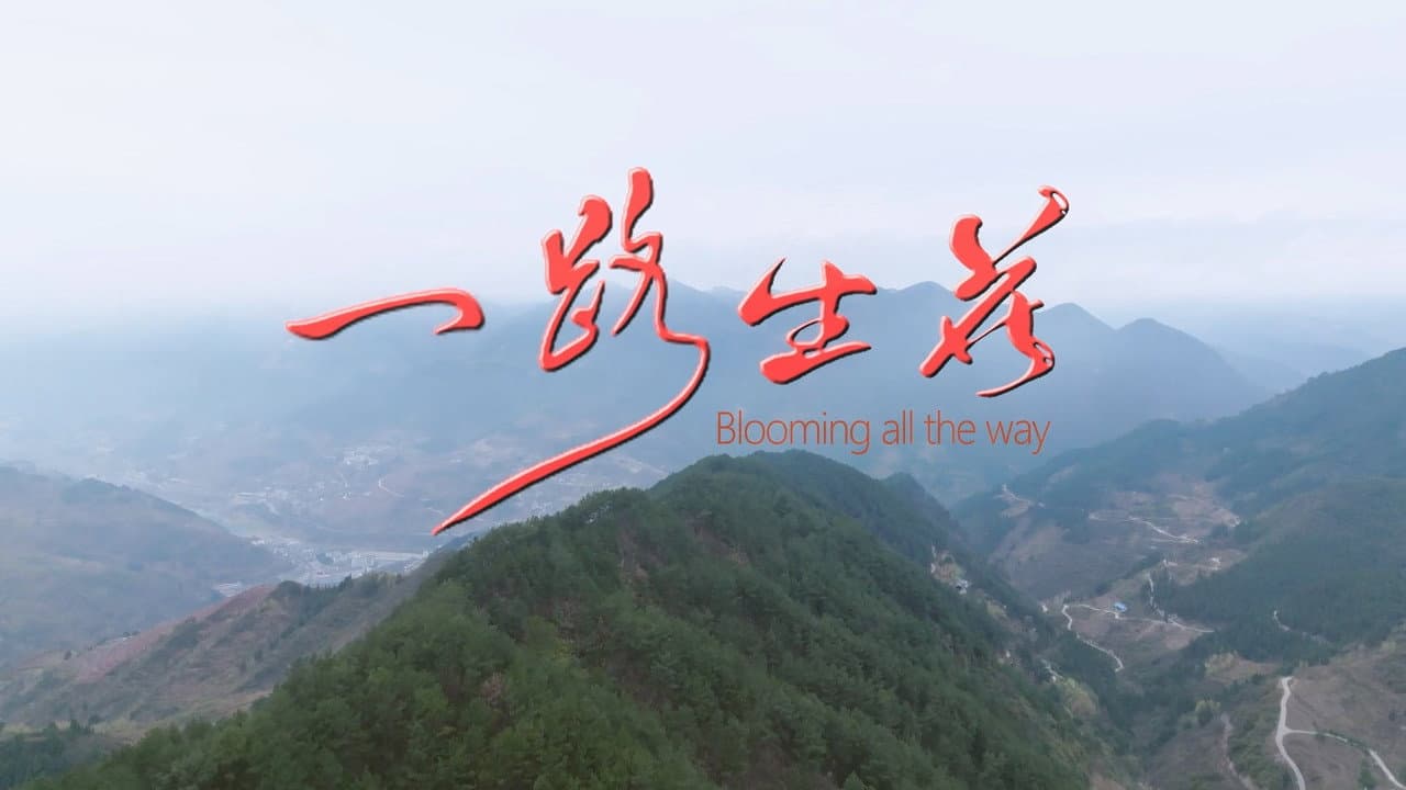 一路生花