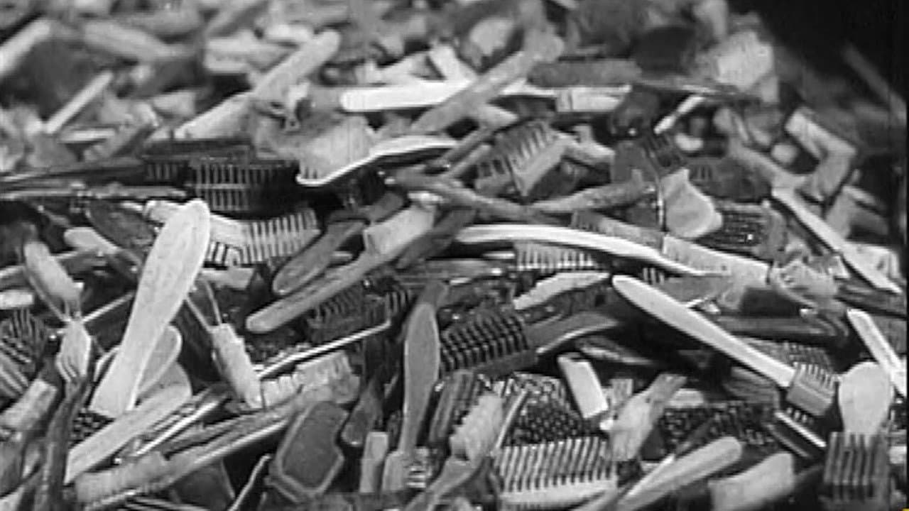Shoah, los olvidados de la historia