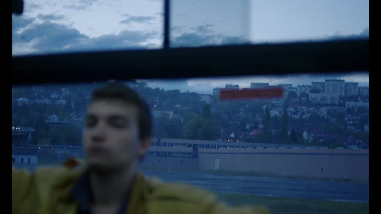 Rebra