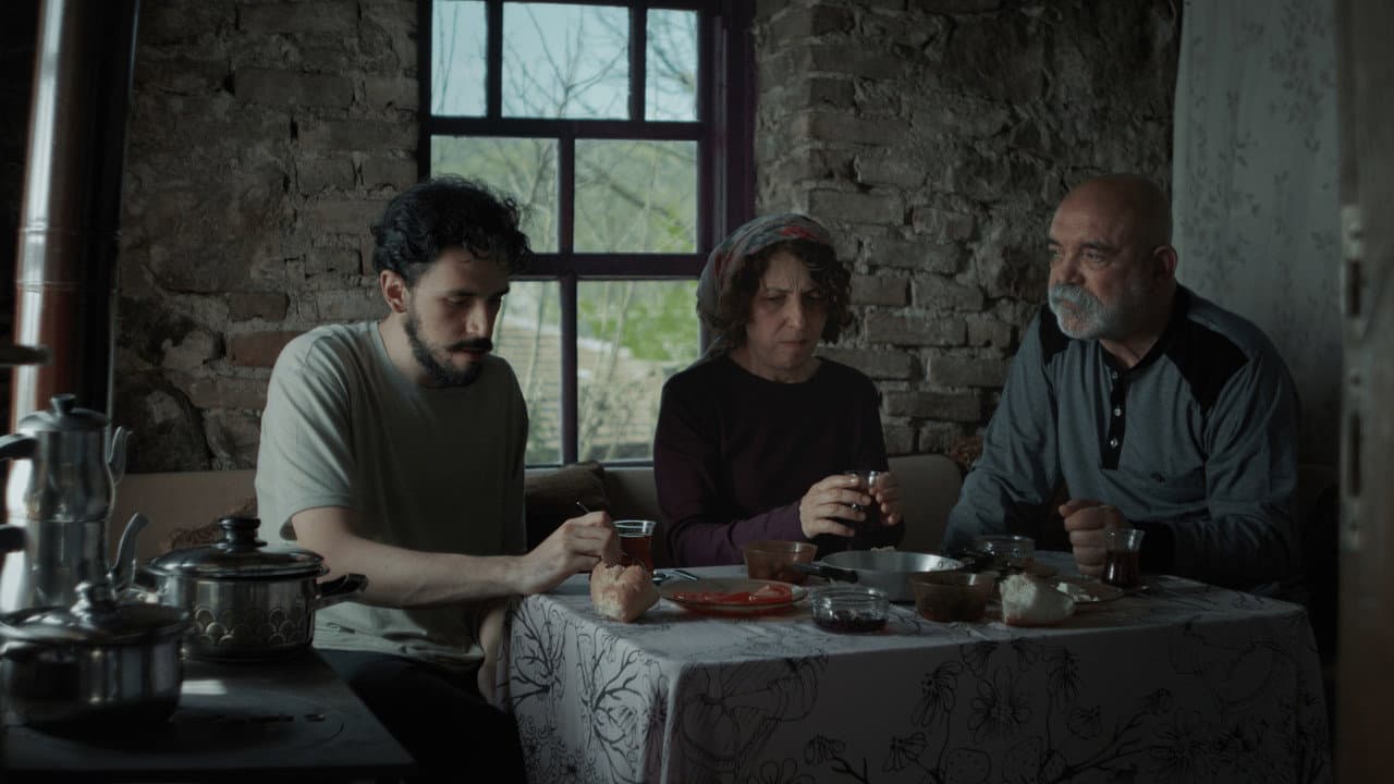 Dünyada Öyle Şeyler Olmuyor