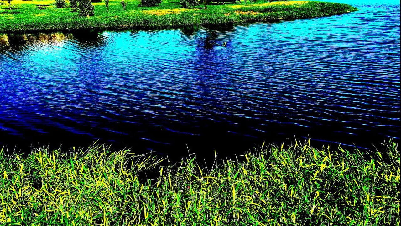 Cenas²