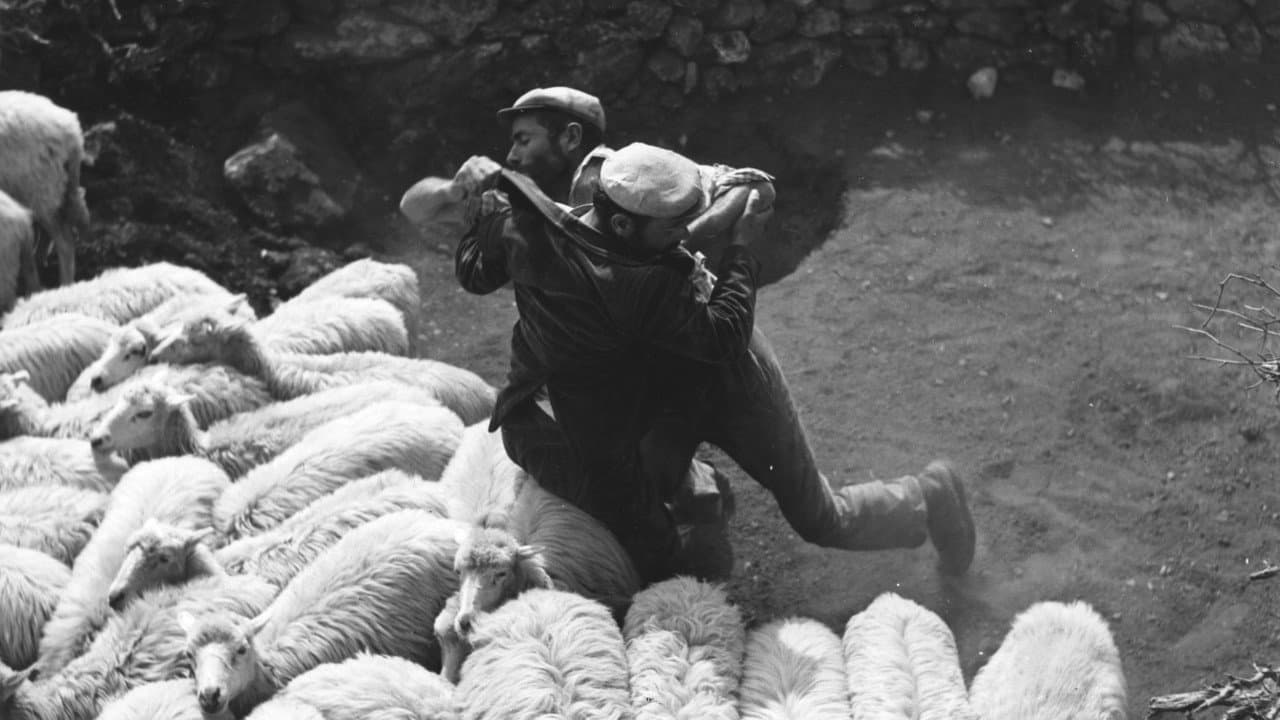 Bandidos de Orgosolo