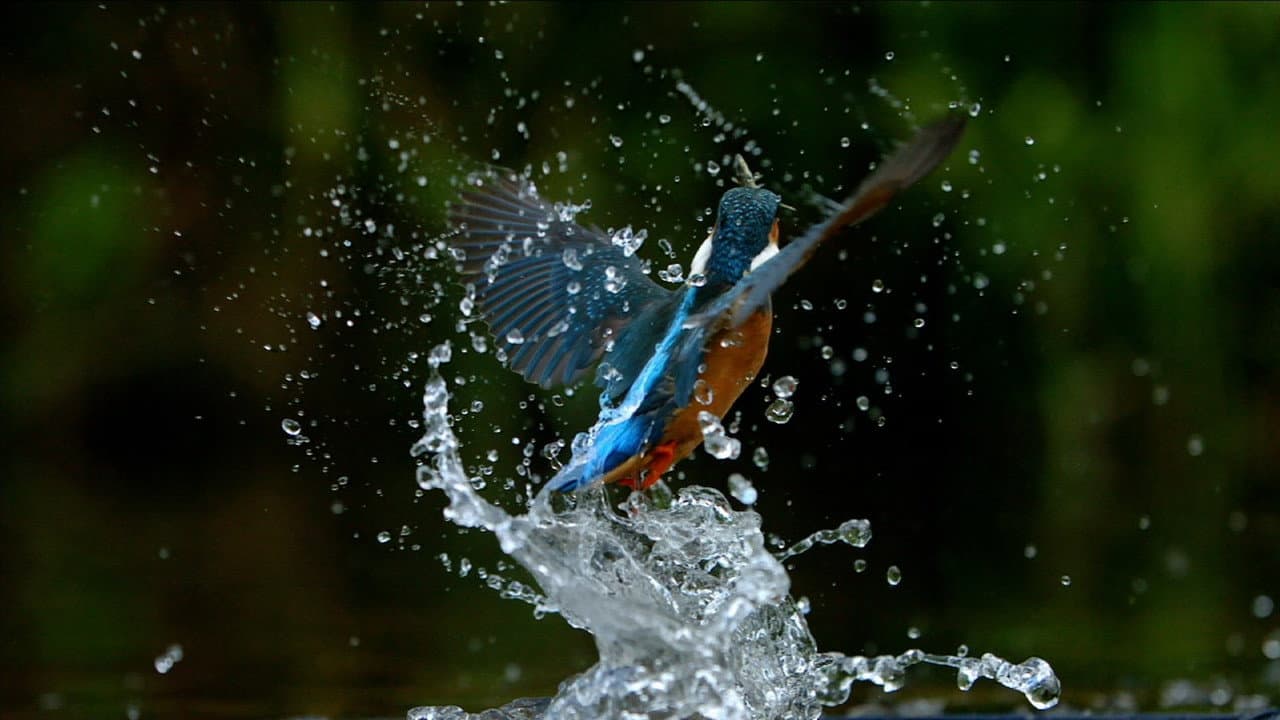 En un río de Irlanda