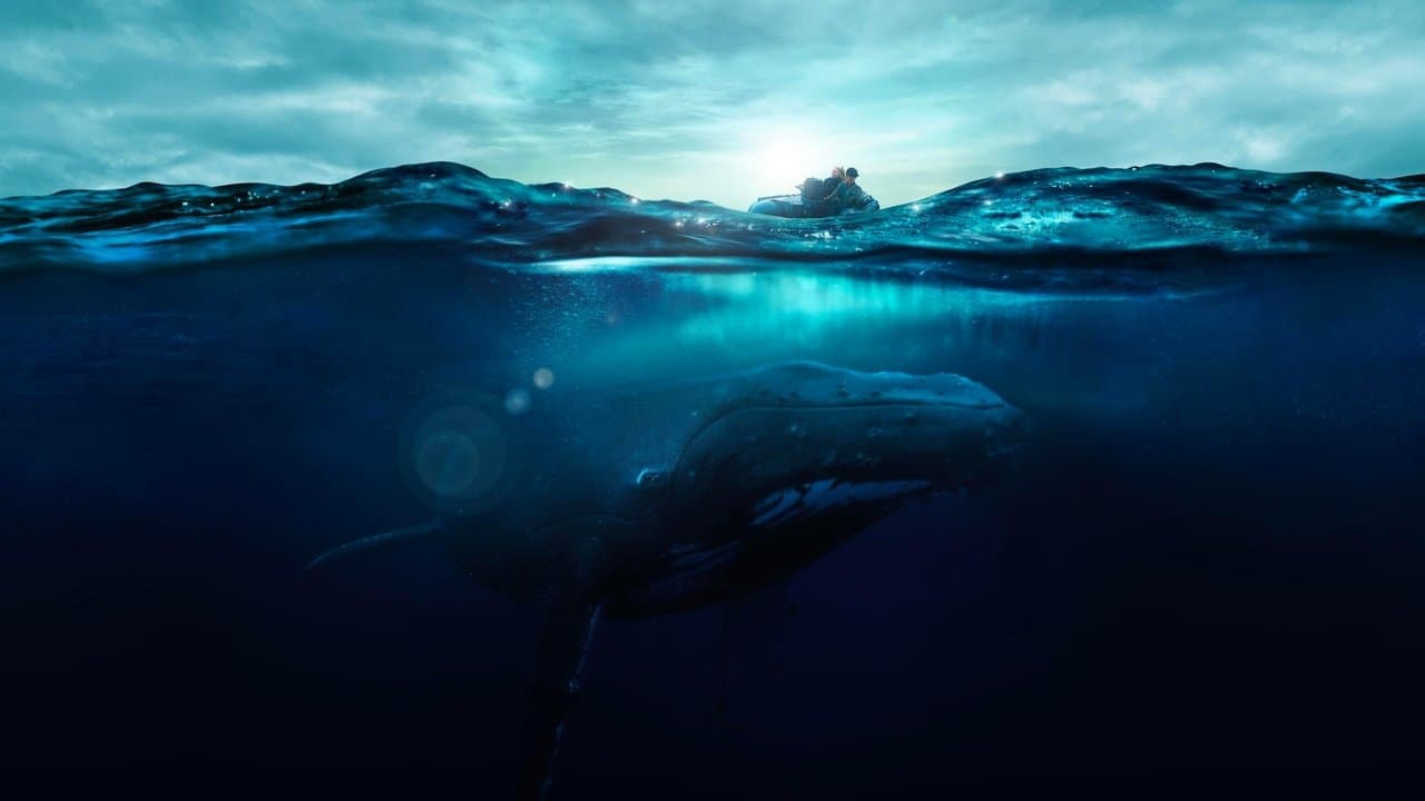 Fathom: Descifrando las profundidades