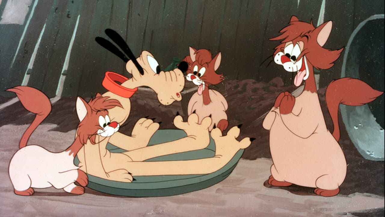 Pluto y los gatos