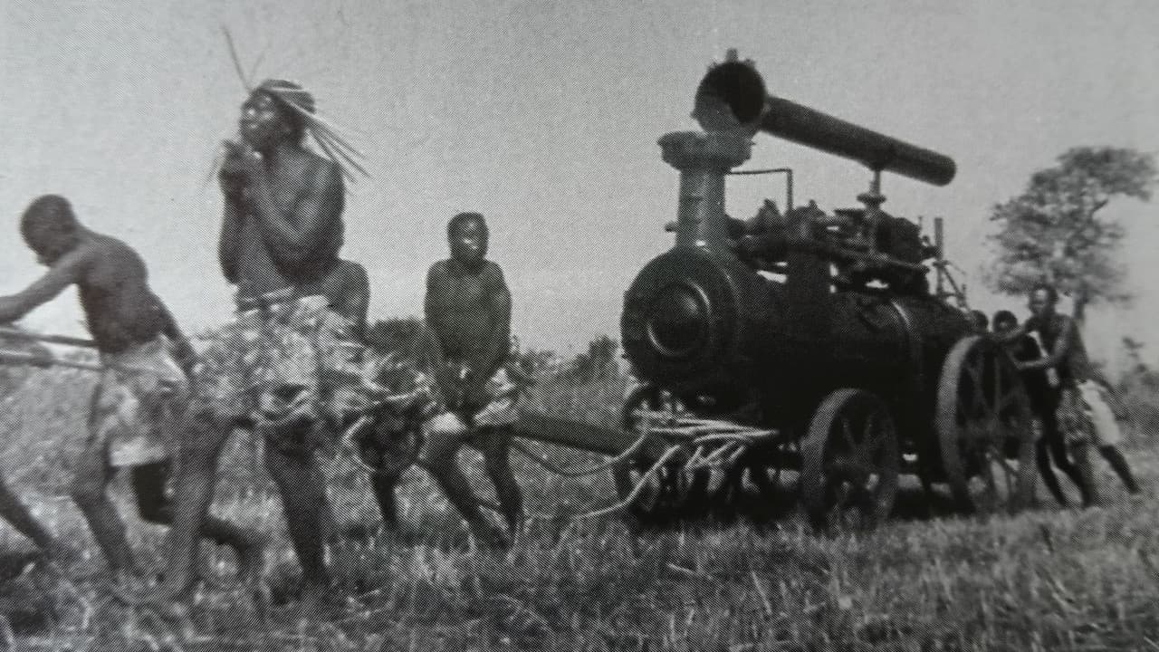 Wonder Afrika