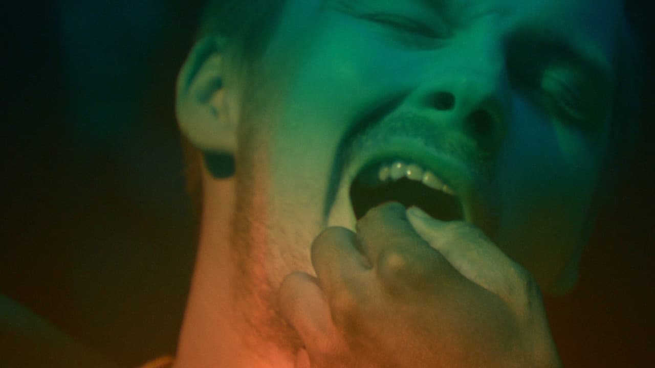 The Wisdom Tooth