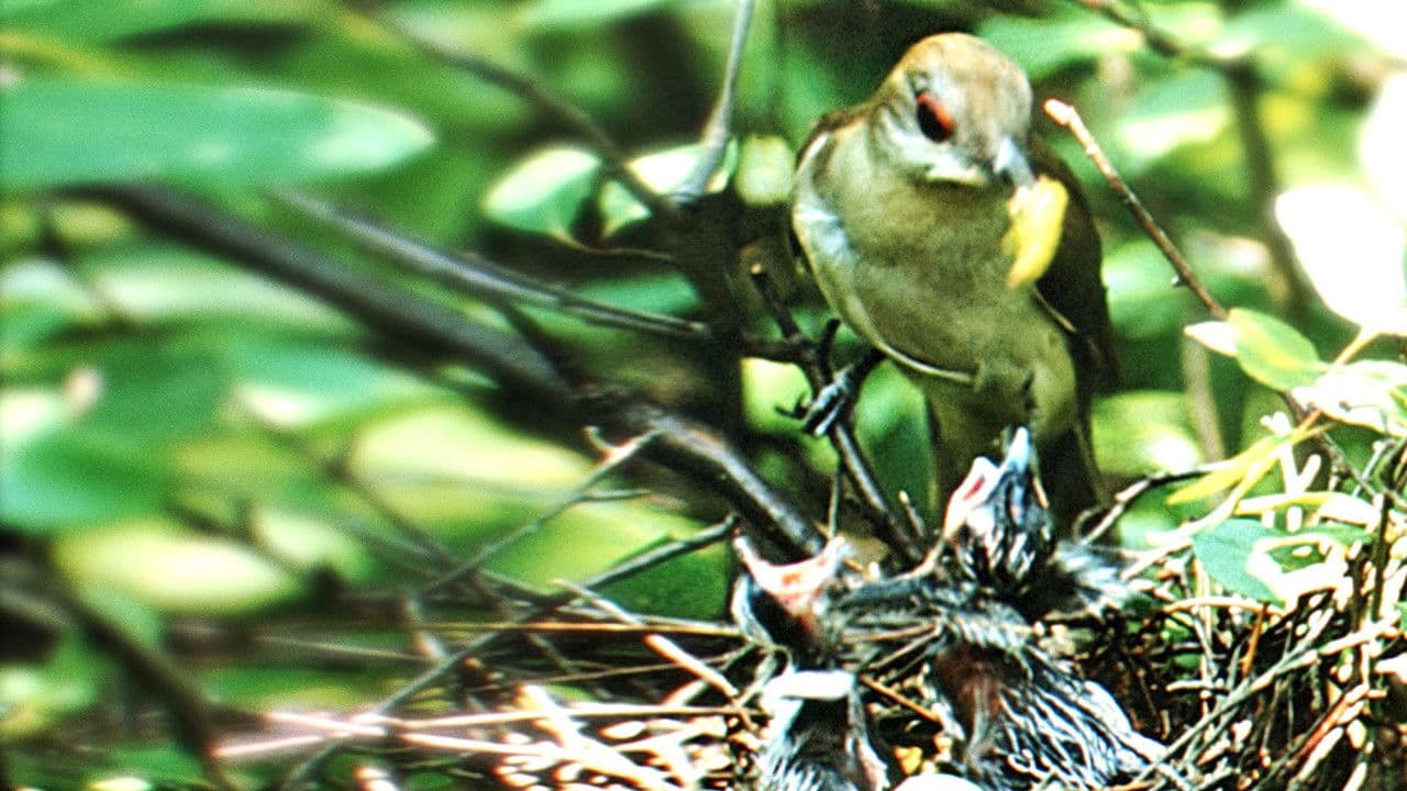 La Parcela de la Naturaleza