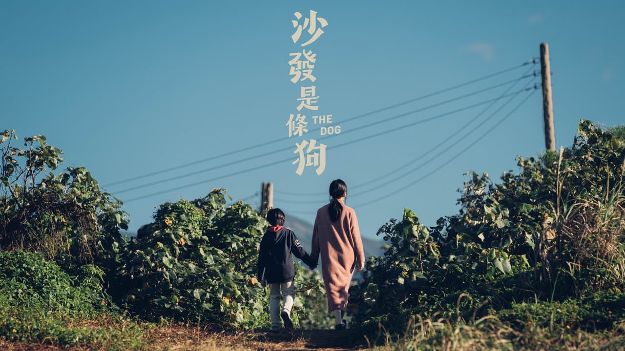 沙發是條狗