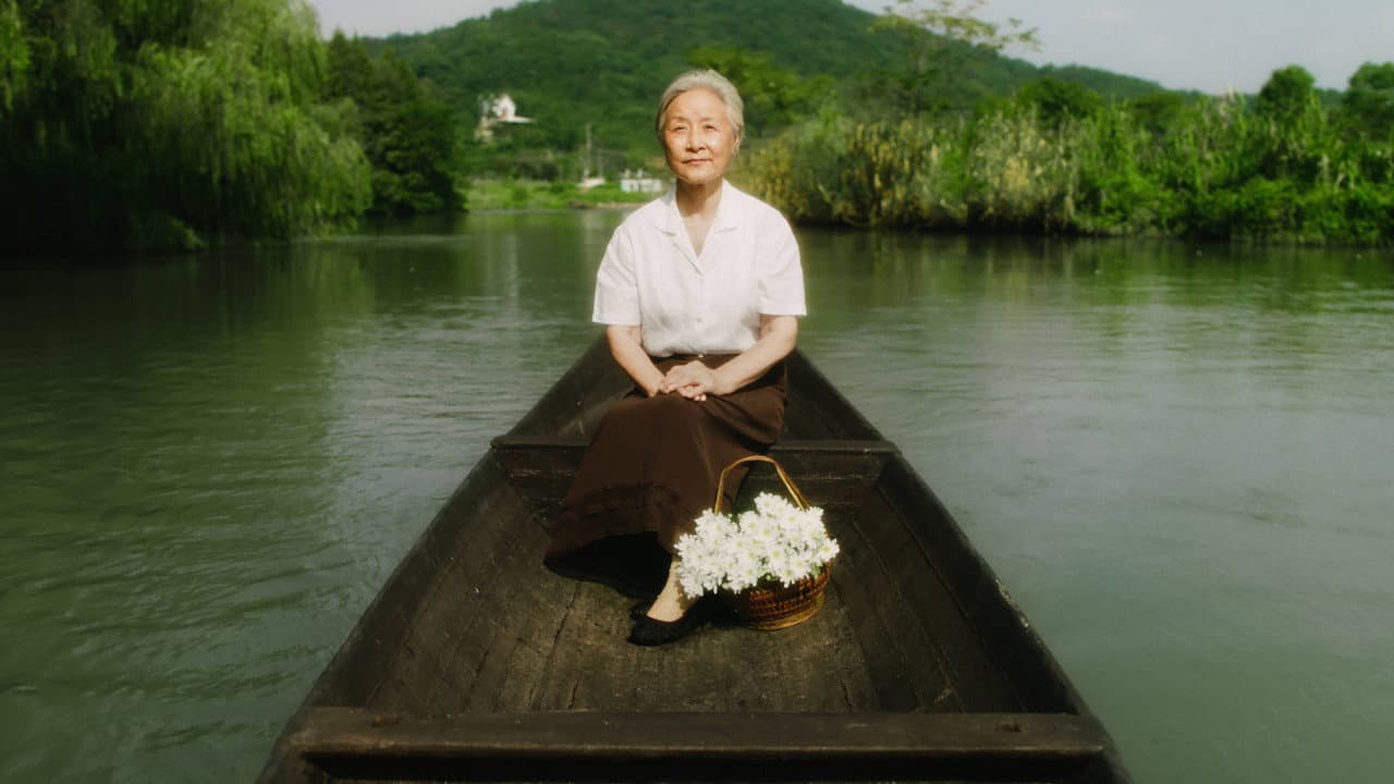 Gone with the boat