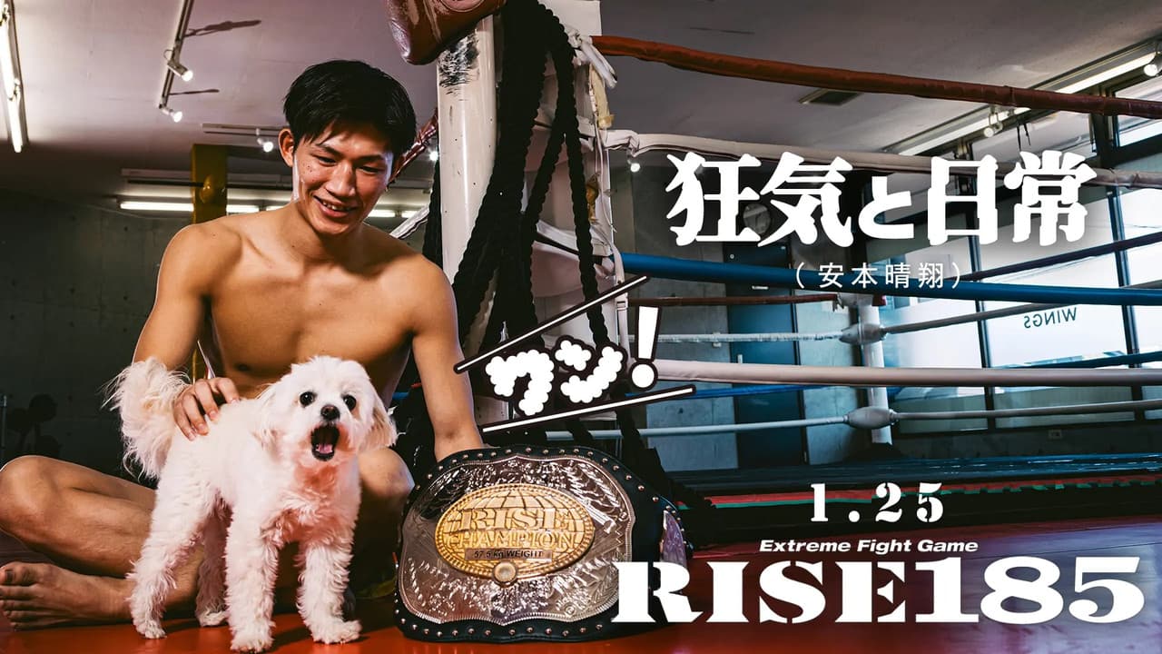 RISE185