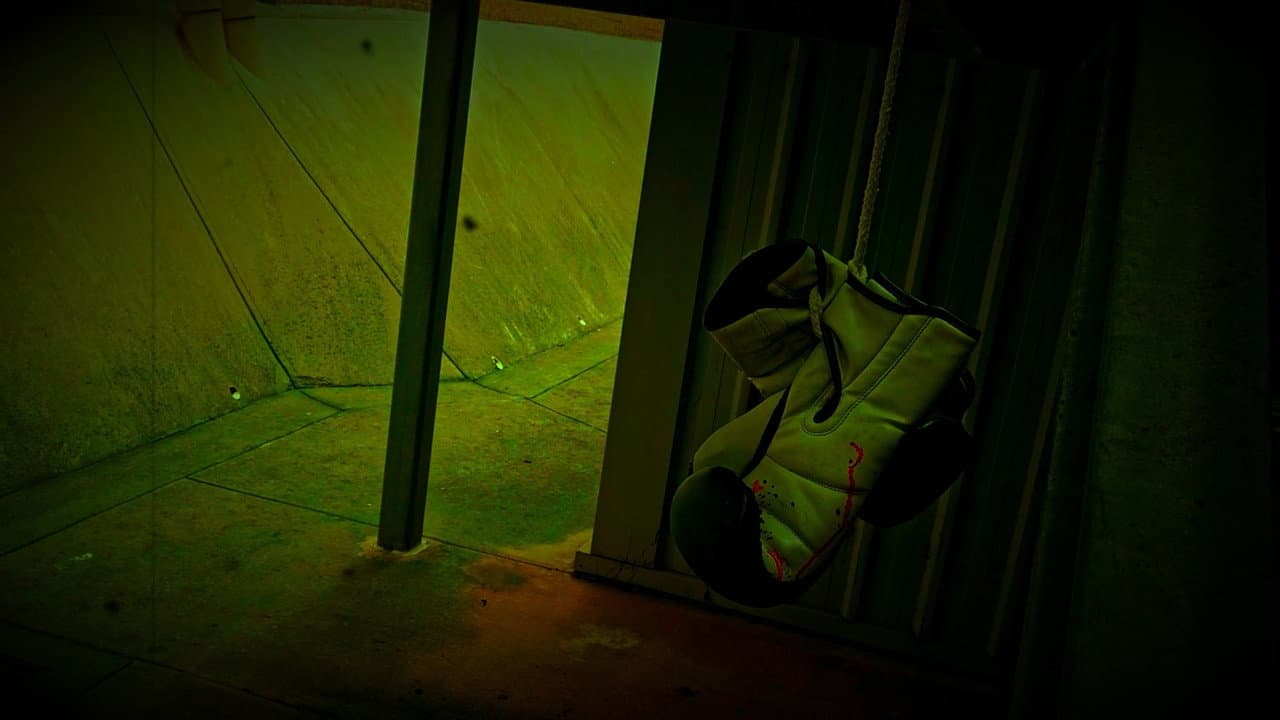 Trapped In Sight