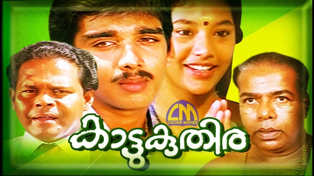 കാട്ടുകുതിര