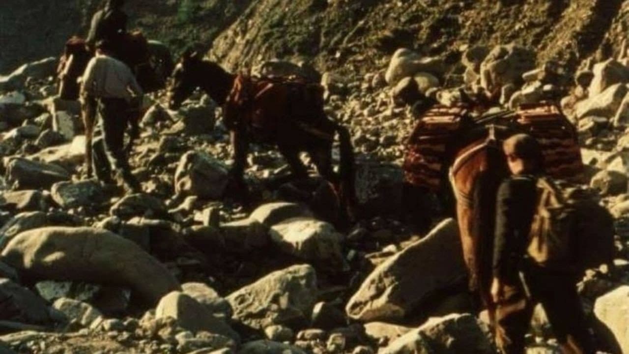 La Sicilia rivisitata