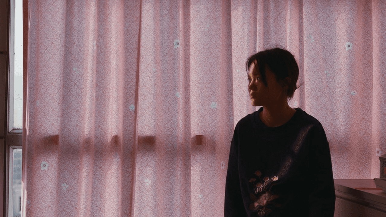 朵丽