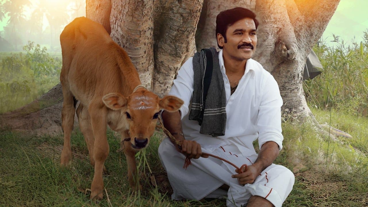 இட்லி கடை
