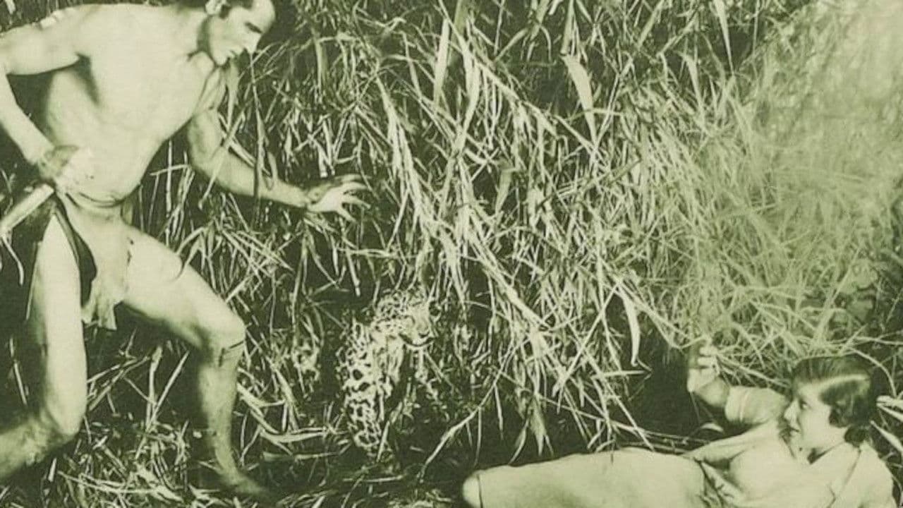 Las nuevas aventuras de Tarzan