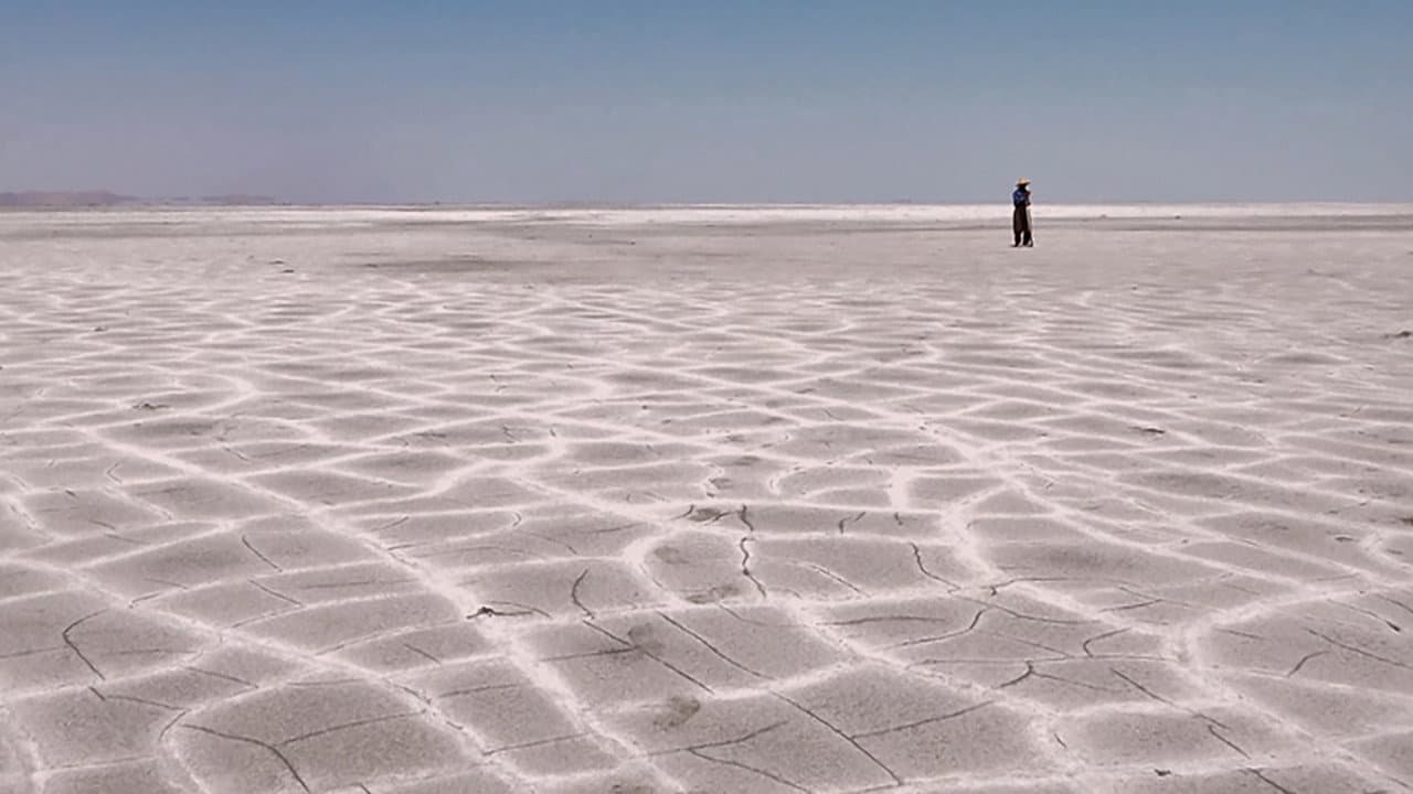 تۆزی بەتین