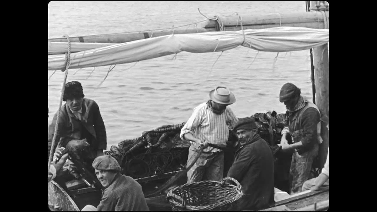 Pêche aux sardines
