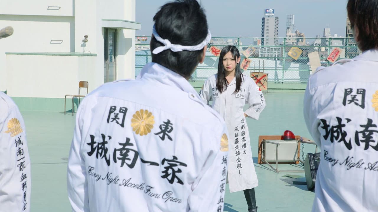 ヤンキー女子高生6 ~八王子最強伝説~