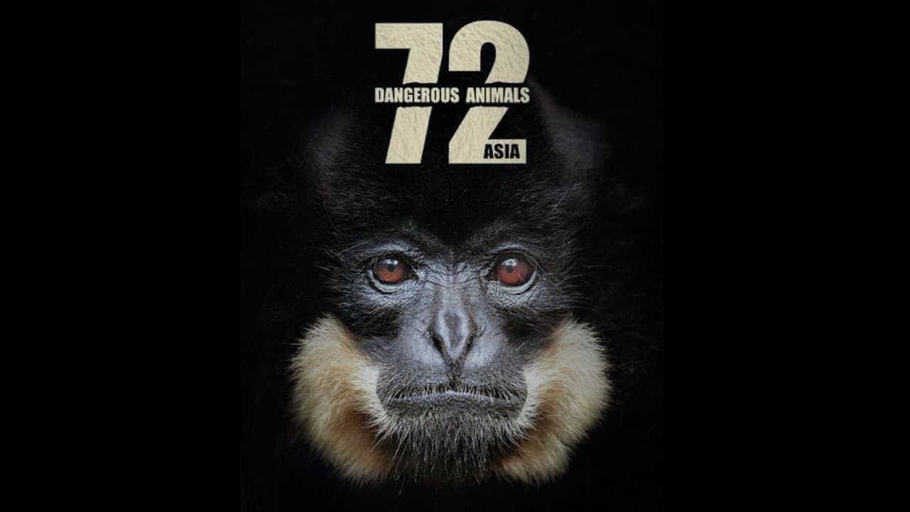 72 animales peligrosos Asia