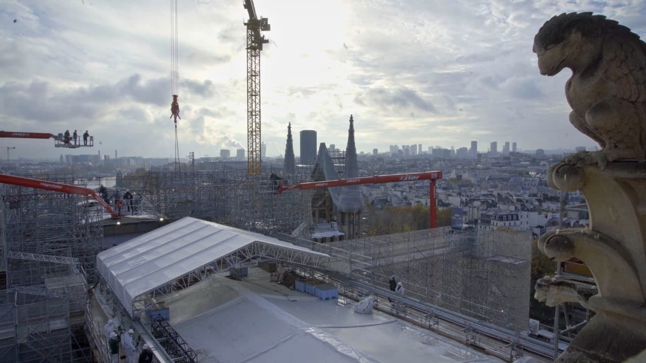 Notre-Dame, dans les coulisses d’une résurrection