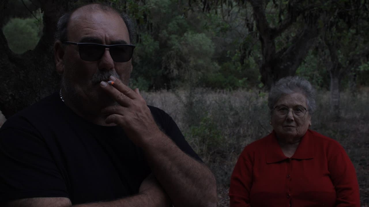 Qui Pogués Plorar Amb Els Teus Ulls