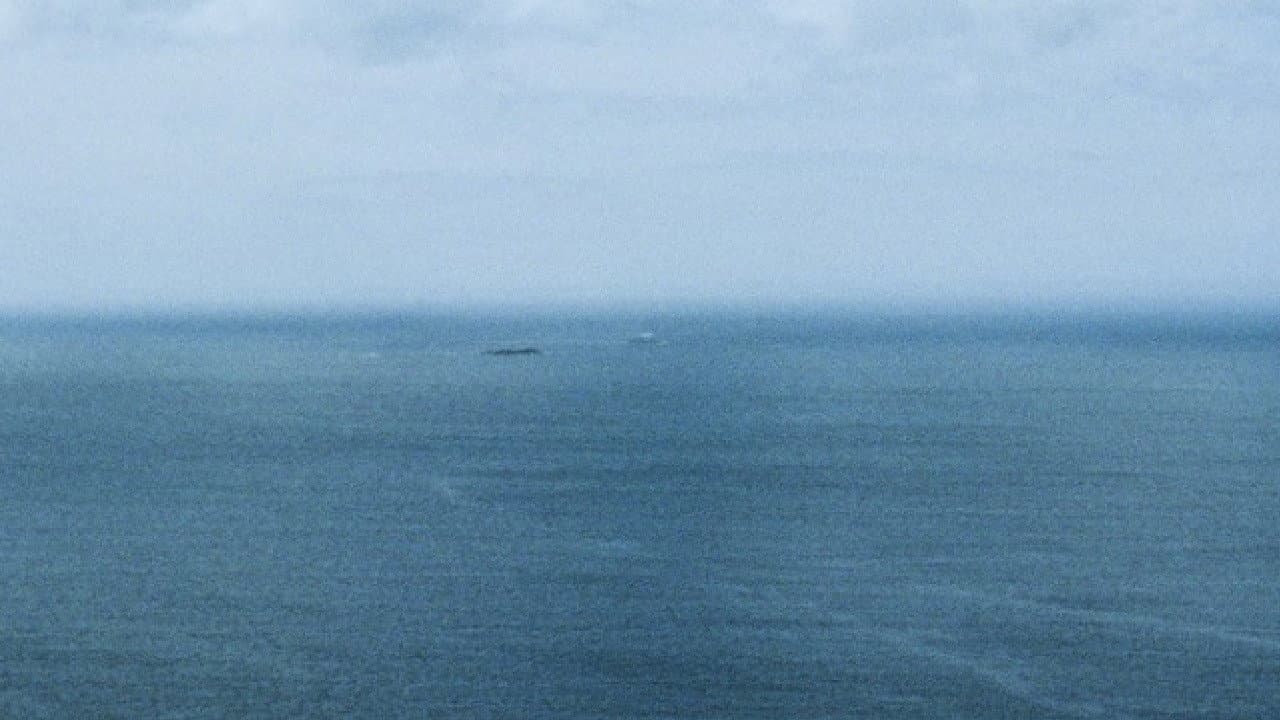 L'acqua xe morta