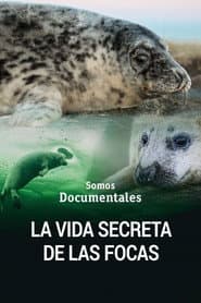 La vida secreta de las focas