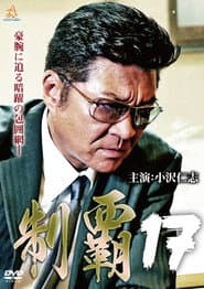制覇17