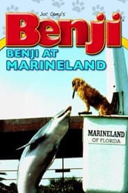 Benji (Takes a Dive) at Marineland
