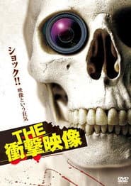 THE 衝撃映像
