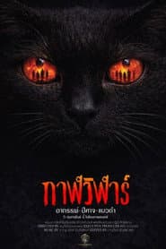กาฬวิฬาร์ อาถรรพ์ปีศาจแมวดำ