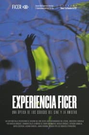 Experiencia FICER