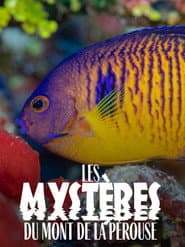 Los misterios del monte La Pérouse