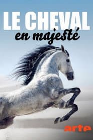 Su majestad el caballo