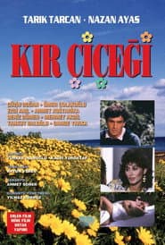 Kır Çiçeği