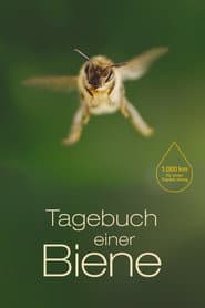 Diario de una abeja
