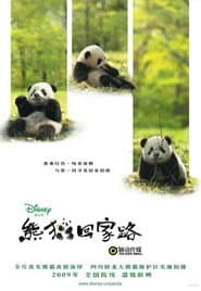 La senda del panda