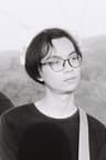 蔡廷理