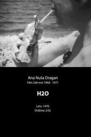 H2O