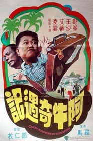 阿牛奇遇記