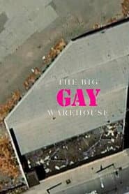 The Big Gay Doc