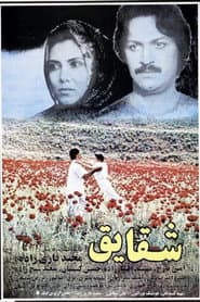 شقایق